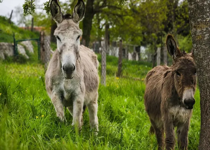Prázdninový dům A La Campagne *